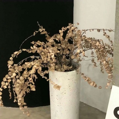 Furry黑白线稿教程Furry群